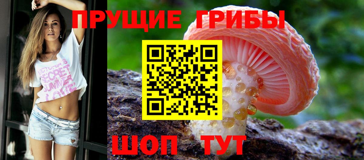 Галлюциногенные грибы GOLDEN TEACHER  Вход с VPN  где найти   Кольчугино 