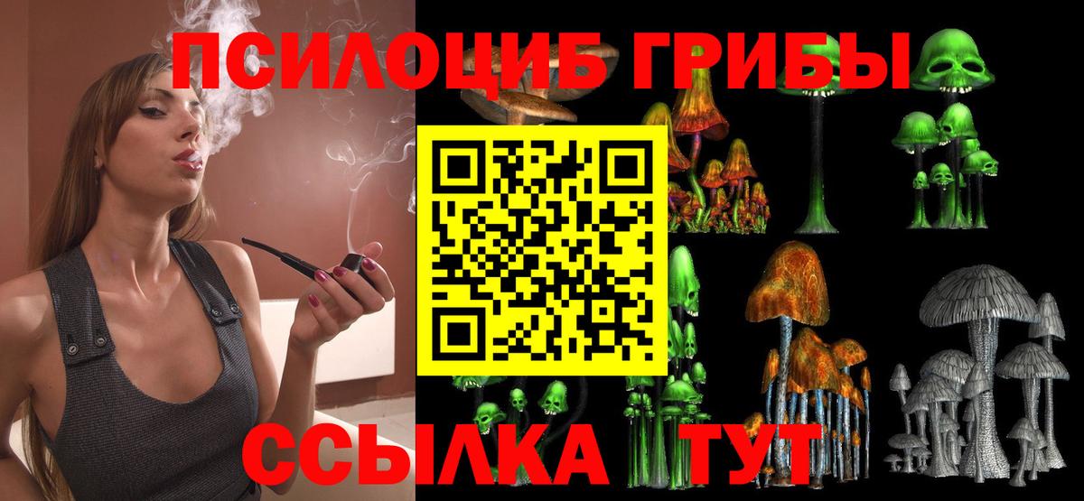 Галлюциногенные грибы Cubensis Кольчугино